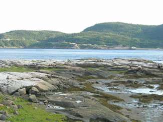 tadoussac 077.jpg
